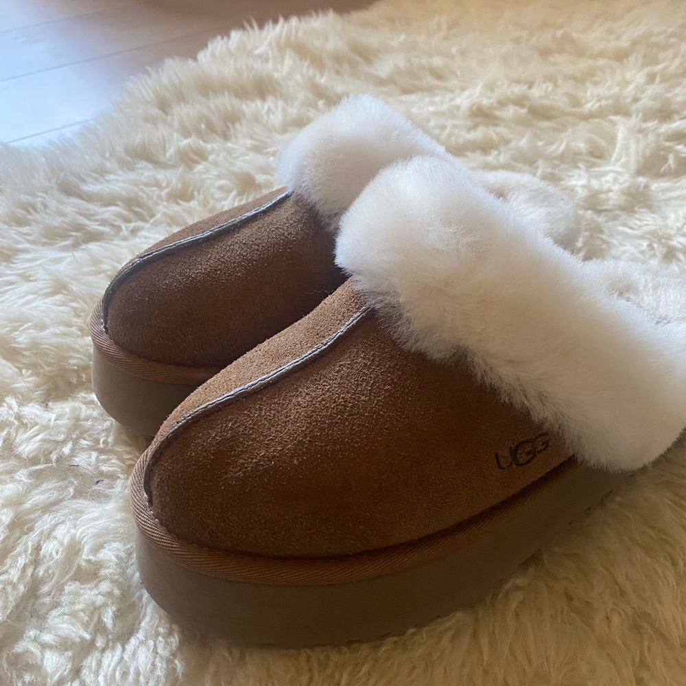 Disquette UGGs brand new